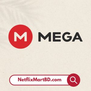 Mega.nz Storage Subscription (1Year)