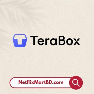 Terabox Storage Subscription