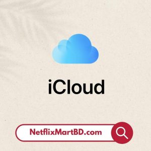 iCloud Storage (400GB)